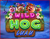 Wild Hog Luau