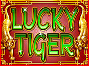 Lucky Tiger