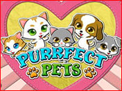Purrfect Pet